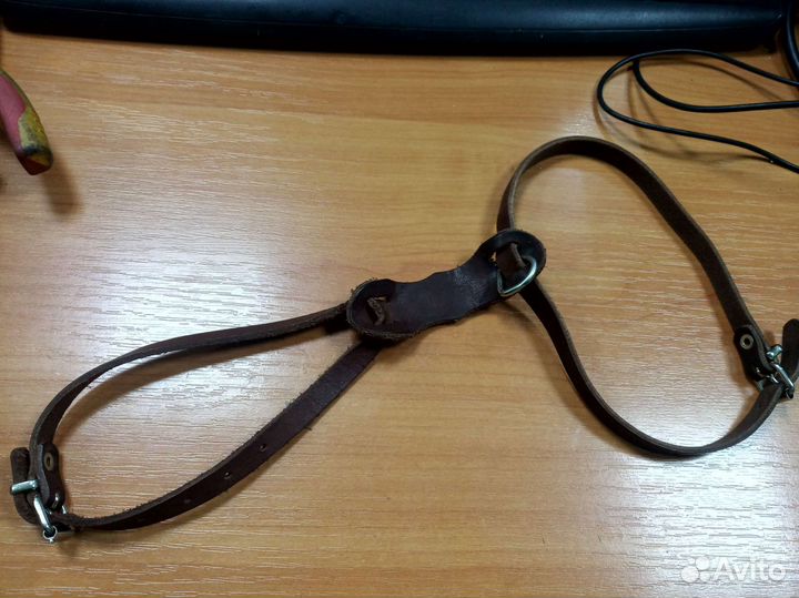 Шлейка для выгула собаки маленькой породы