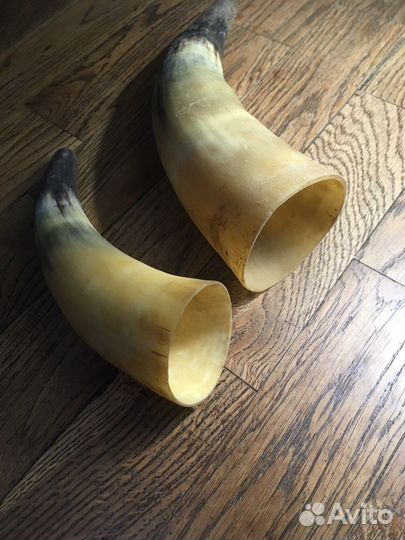 Рог. Рога для интерьера, для коллекции