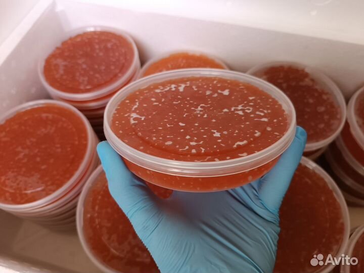 Красная икра горбуши