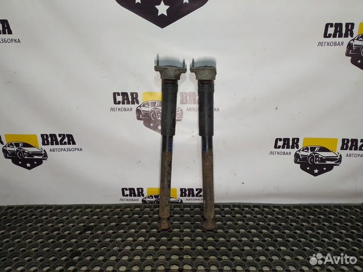 Амортизатор задний (комплект)