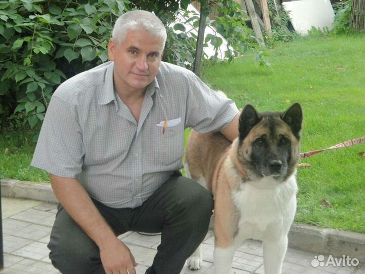 Инженер
