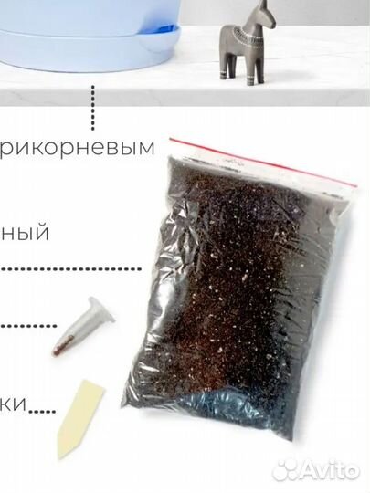 Суккуленты набор, живые камни