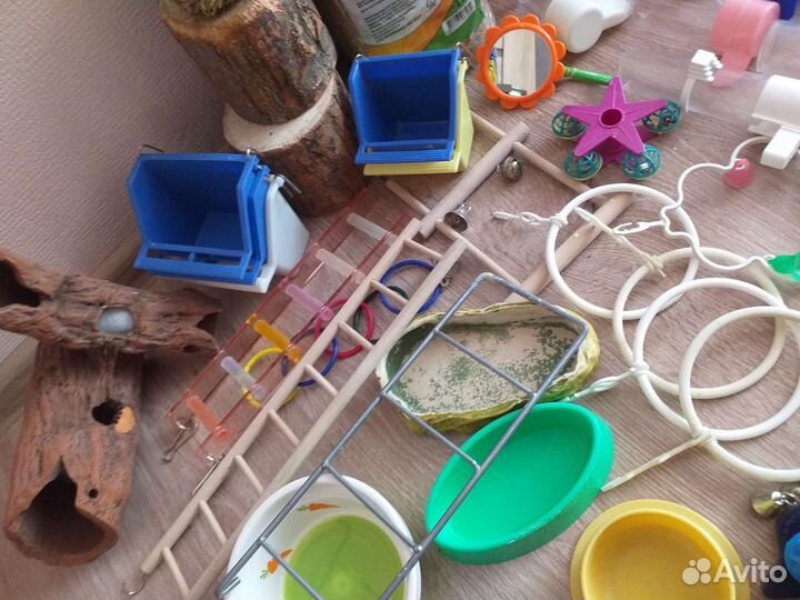 Товары для животных