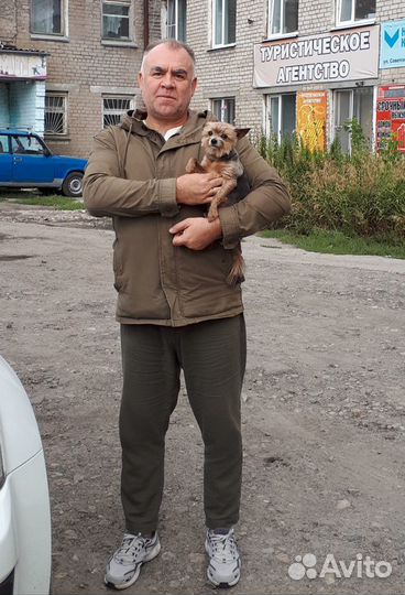 Специалист в сфере сбыта, снабжения, управления