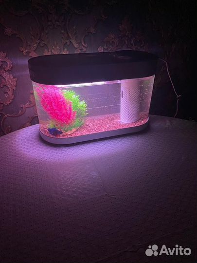 Умный аквариум