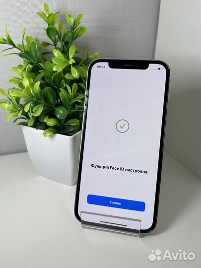 iPhone 12 Pro, 256 ГБ