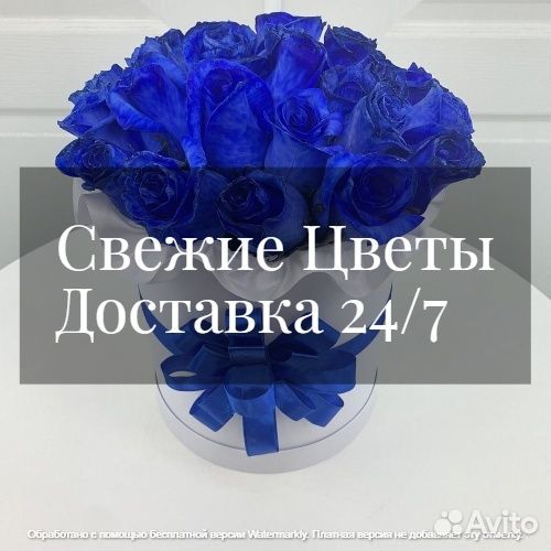 Cиние розы оптом