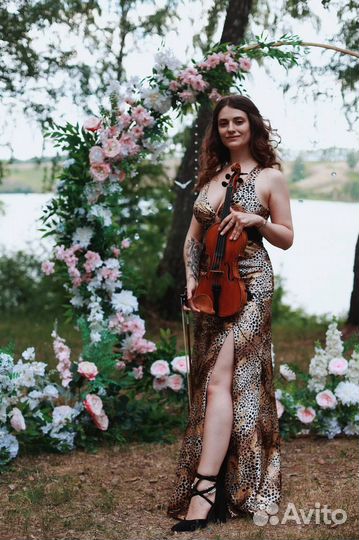 Скрипка на праздник. Живая музыка