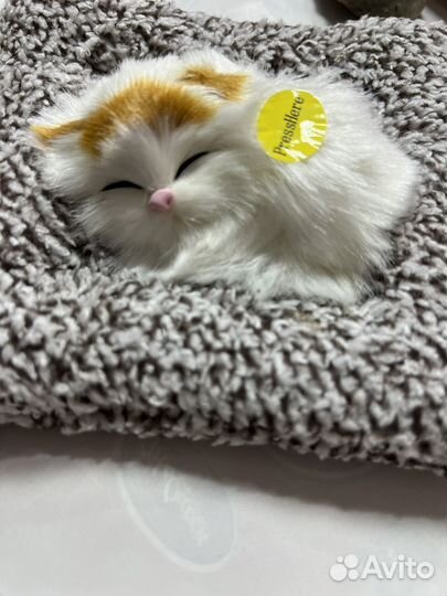 Сувениры из дагестана