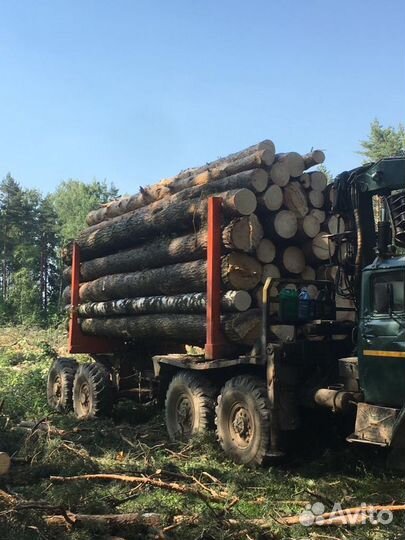 Лесозаготовительный комплекс