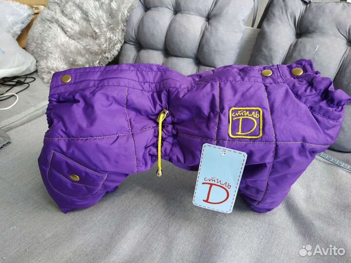 Новые вещи для собаки