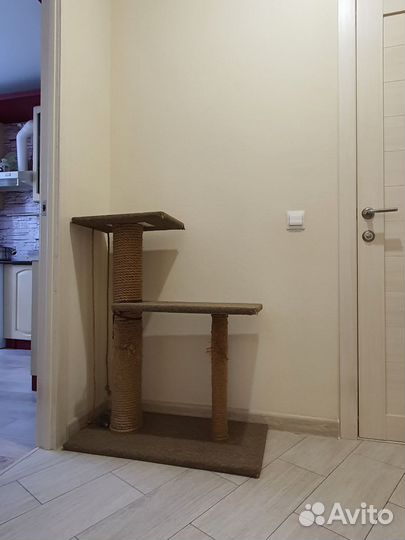 Когтеточка для кошек