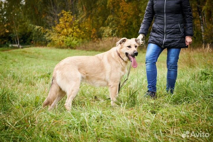 Бьянка жизнерадостная и ласковая