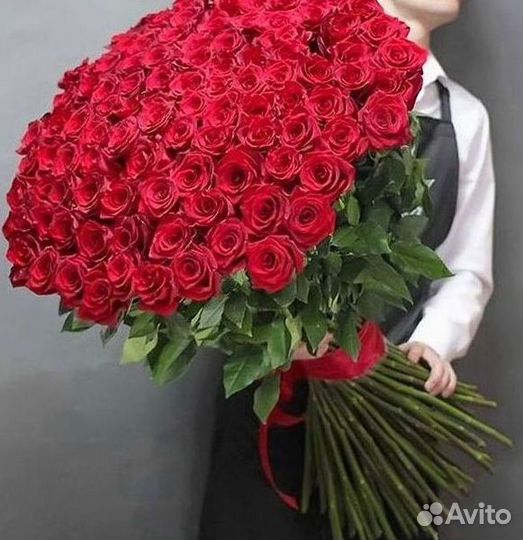 101 роза цветы букеты доставка 25 51 101 роза