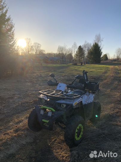 Avantis Hunter 200 new lux