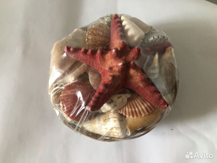 Морские ракушки набор доставка