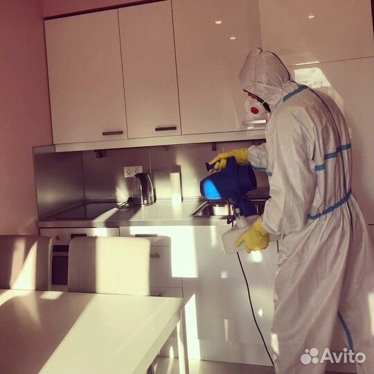 Уничтожим клопов тараканов клещей плесень запахи