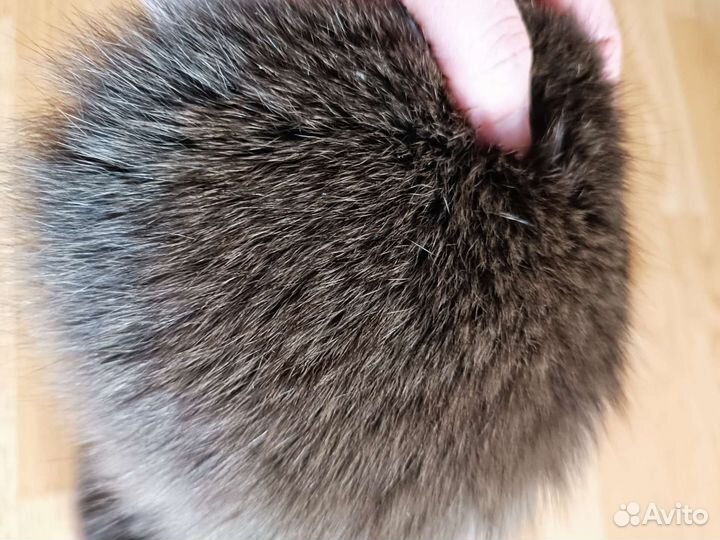 Меховой воротник