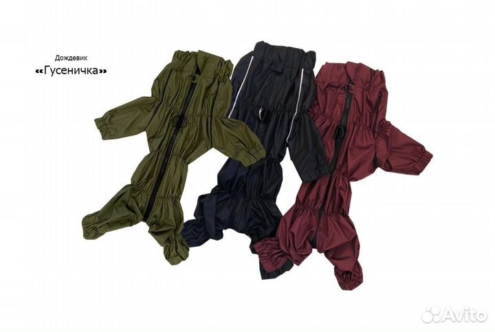 Одежда для собак