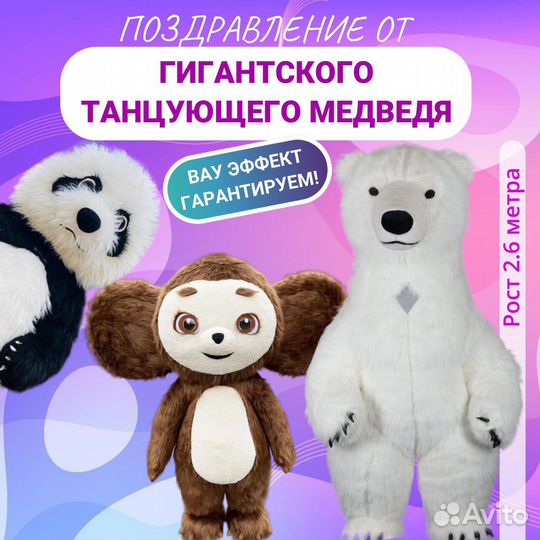 Медведь/ Чебурашка/ Панда / экспресс поздравление