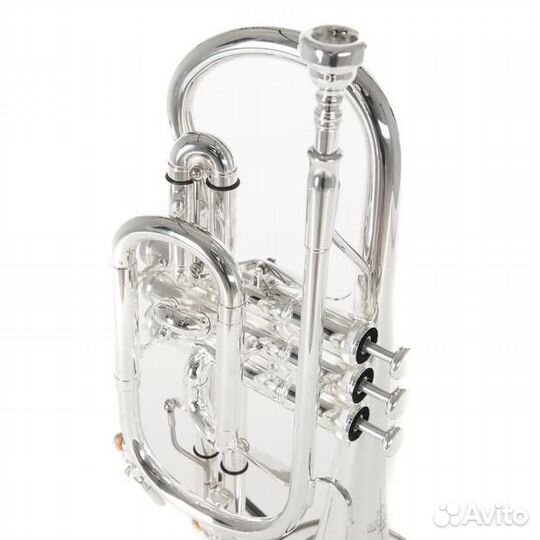 Корнет Roy Benson CR-302S