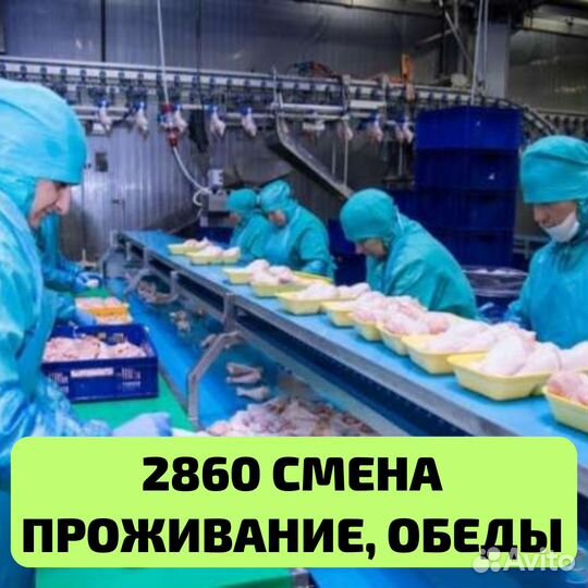 Выезд из Тольятти, вахта Пенза, упаковщик