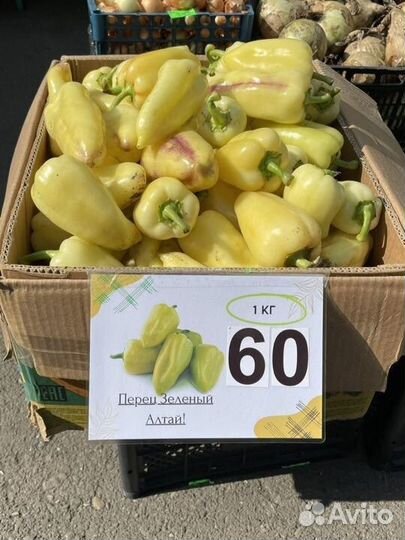 Перец болгарский желтый