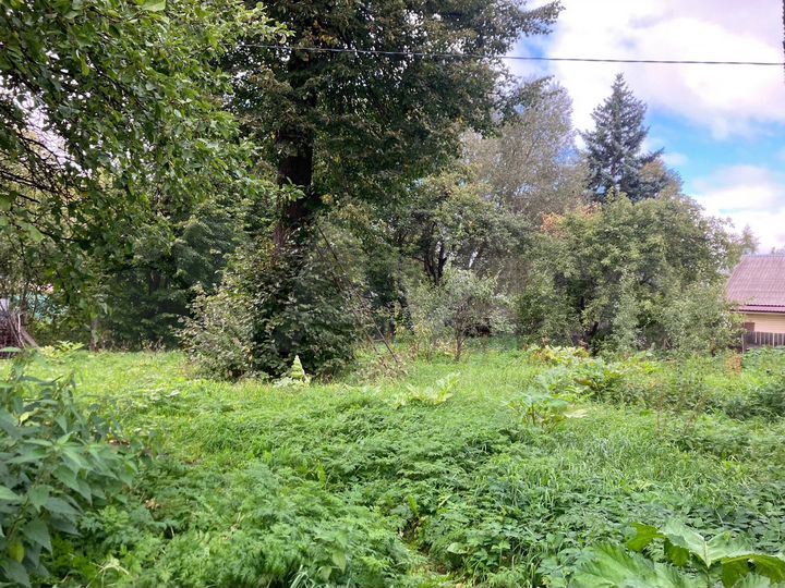 Участок 22,8 сот. (ИЖС)