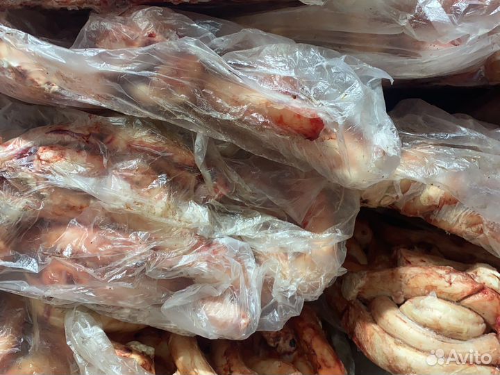 Бычий корень для собак