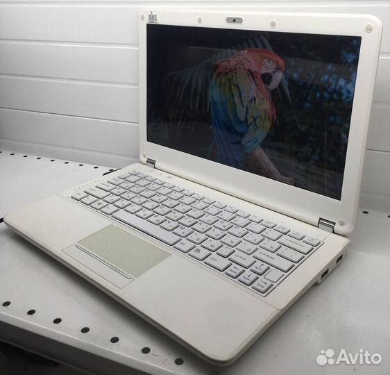 Нетбук DNS P116