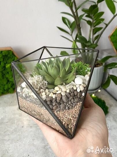 Флорариум 