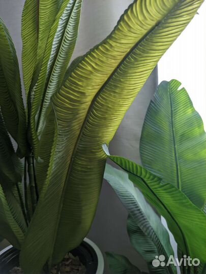 Искусственные тропические растения цветы деревья