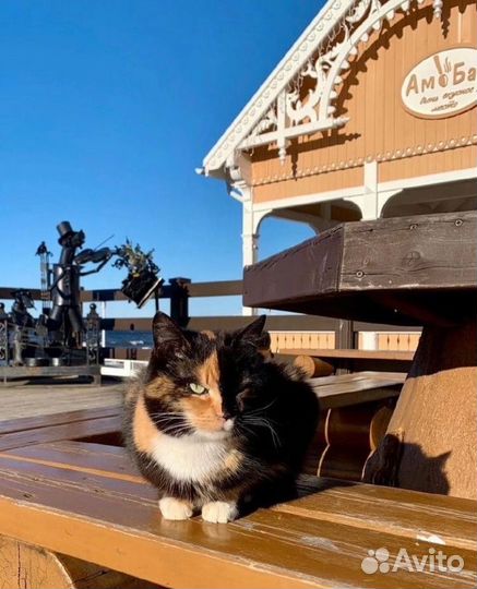 Калининград, экскурсионный тур на 7 дней