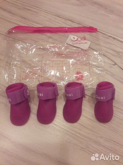 Одежда и сумка переноска для маленькой собачки