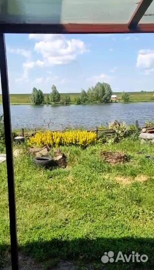 Продам готовый бизнес- пруд