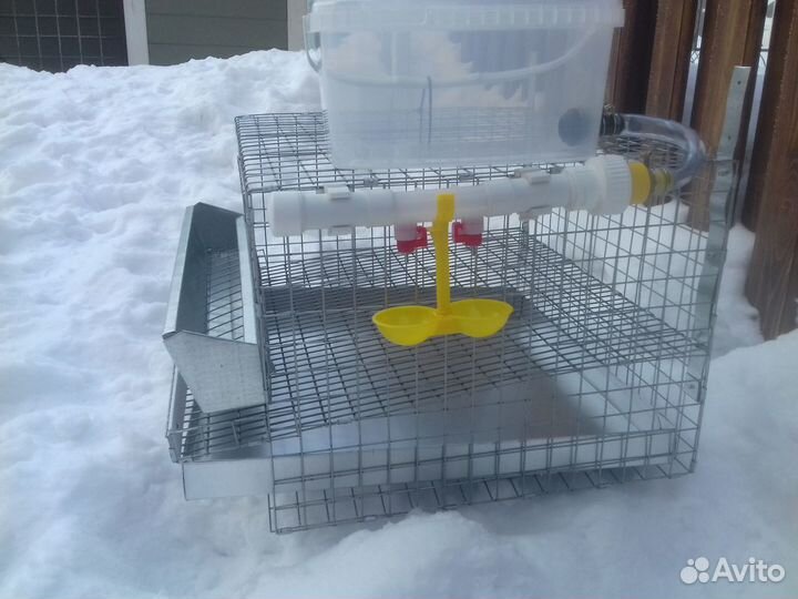 Клетка для перепелов