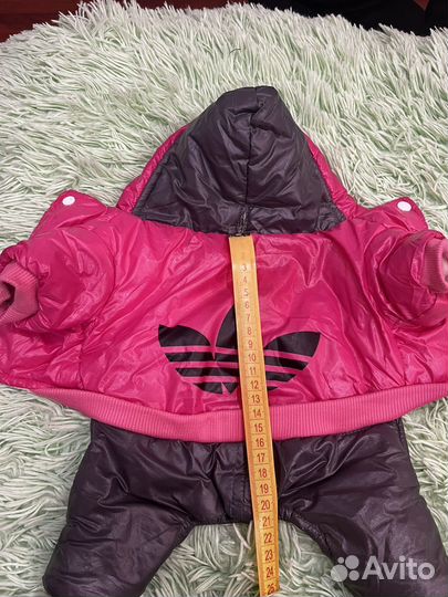 Зимний комбинезон на собачку