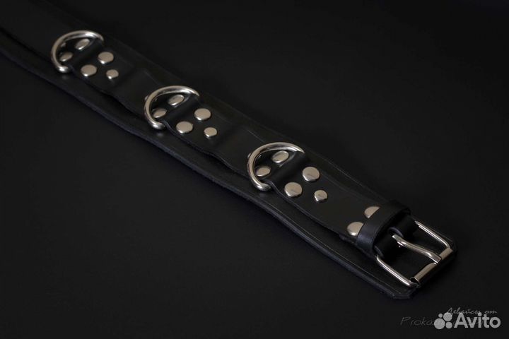 Ошейник, чокер