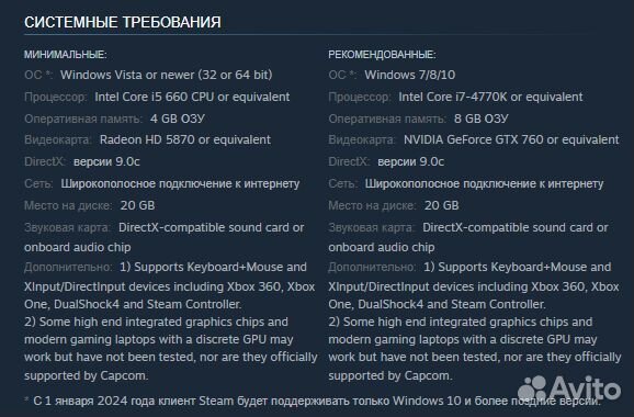 Dragon's Dogma: Dark Arisen (Steam)