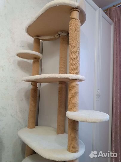 Комплекс -когтеточка
