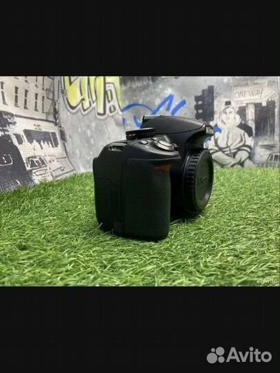 Фотоаппарат nikon d3100