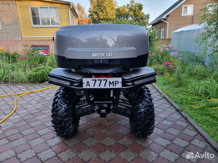 Arctic cat 1000