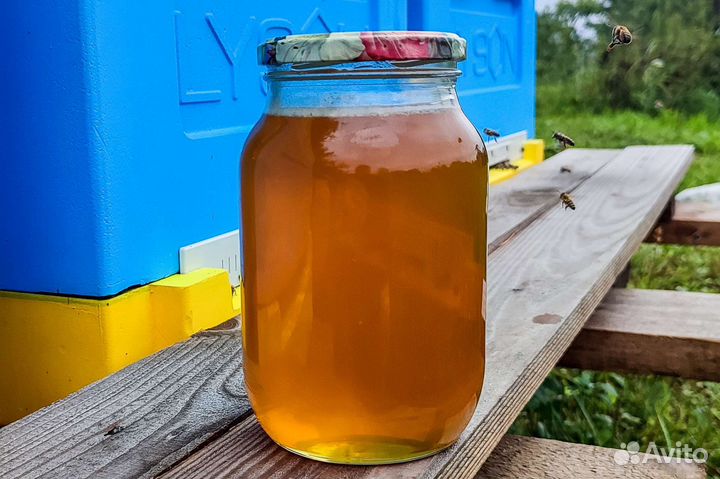 Свежий мёд 2023