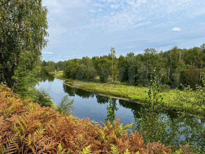 Участок 40 сот. (СНТ, ДНП)