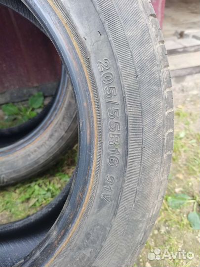 Winrun R330 205/55 R16 91V