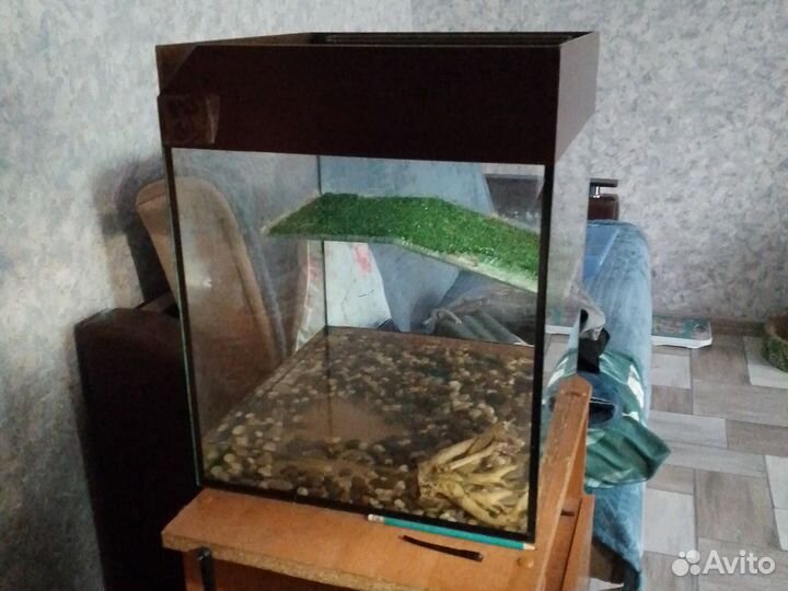 Террариум для красноухой черепахи