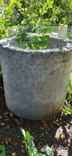 Бетонные кольца