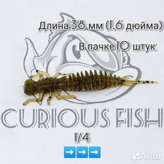 Curious Fish Dragonfly 1.5 дюйма (3,8см)