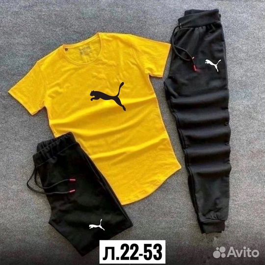 Костюм мужской летний puma