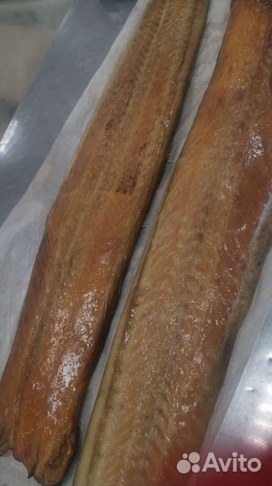 Толстолоб холодного копчения пласт 450 за кг